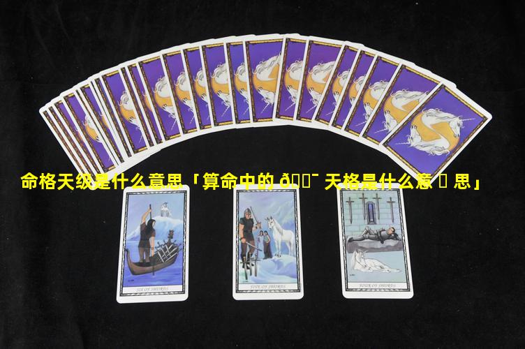 命格天级是什么意思「算命中的 🐯 天格是什么意 ☘ 思」